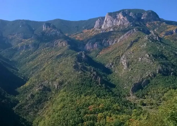 Bergerie 